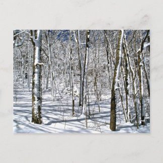 Blue Ridge Mountain Magic under Winter Spell Vykort