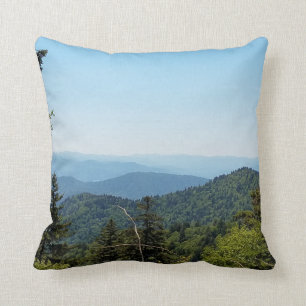 Blue Ridge Mountains nära Cherokee, North Carolin Kudde
