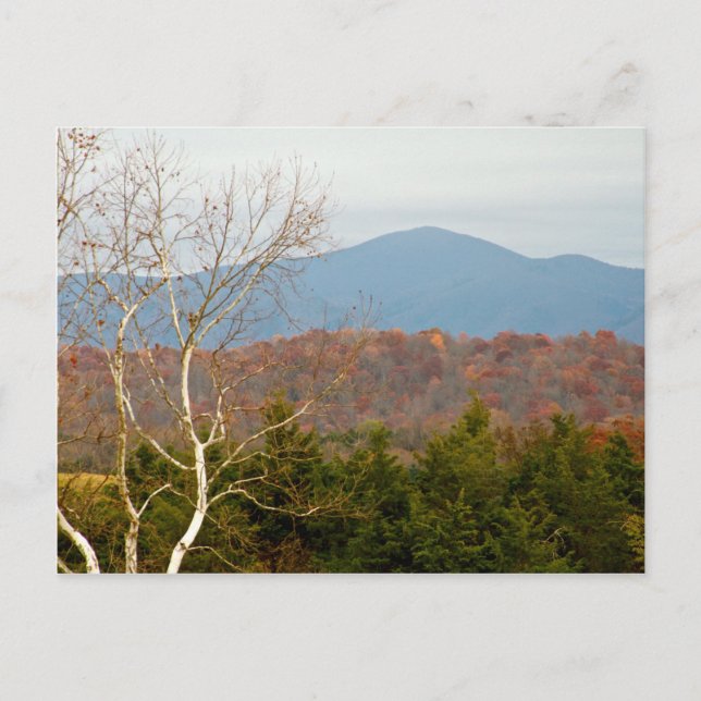 Blue Ridge Mountains VA Ligcape Photo Shenandoah Vykort (Framsida)