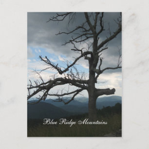 Blue Ridge Mountains Vykort