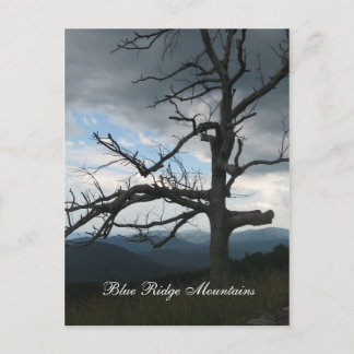 Blue Ridge Mountains Vykort