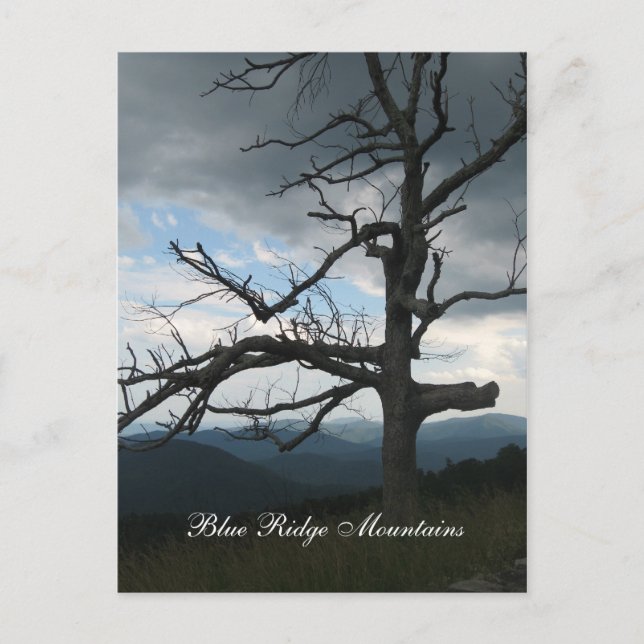 Blue Ridge Mountains Vykort (Framsida)