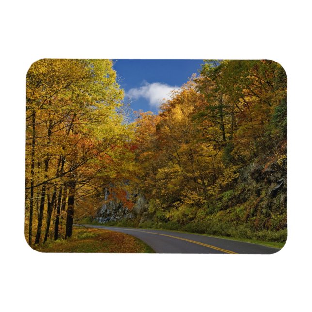 Blue Ridge Parkway-kurva genom hösten färg Magnet (Horisontell)