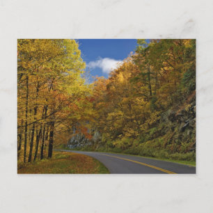 Blue Ridge Parkway svängande genom höstfärger Vykort