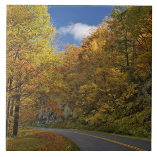 Blue Ridge Parkway svänger genom höstfärger Kakelplatta
