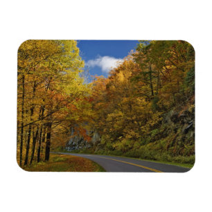 Blue Ridge Parkway svänger genom höstfärger Magnet