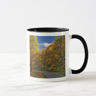 Blue Ridge Parkway svänger genom höstfärger Mugg