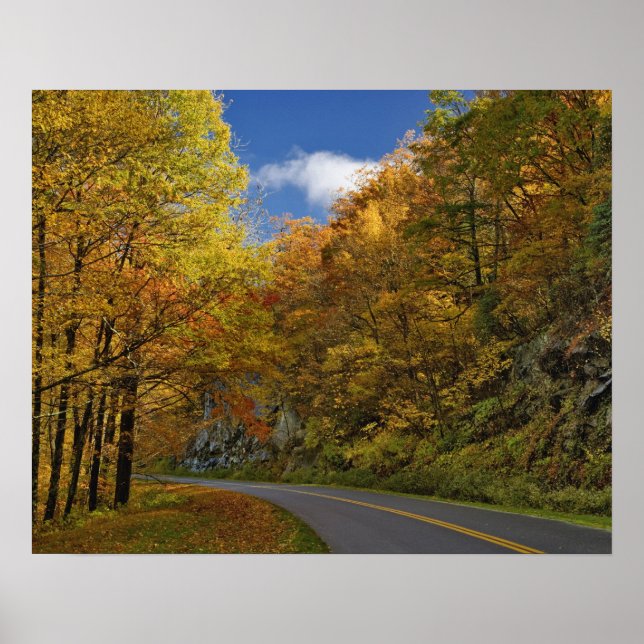 Blue Ridge Parkway svänger genom höstfärger Poster (Framsidan)