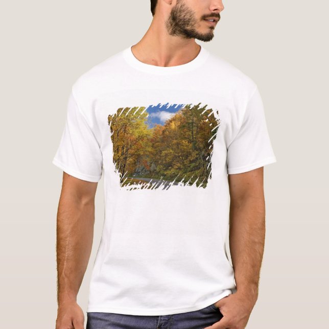 Blue Ridge Parkway svänger genom höstfärger T-shirt (Framsida)