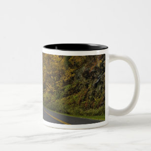 Blue Ridge Parkway svänger genom höstfärger Två-Tonad Mugg
