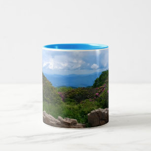 Blue Ridge Vår Mugg