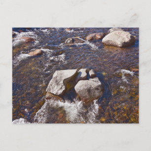 Blue River Mönster, Breckenridge Vykort