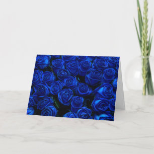 Blue Ro Kort