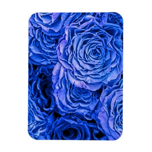 Blue Ro Magnet