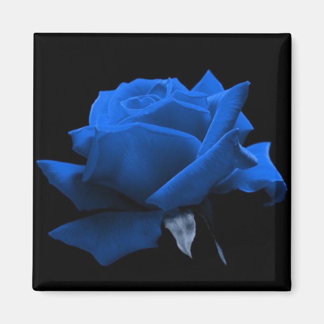 Blue Ro Magnet (Framsidan)