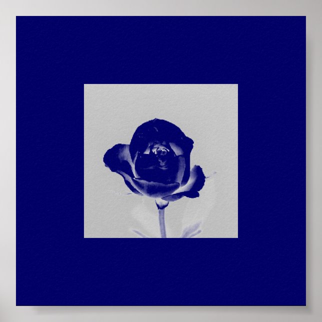 Blue Ro Poster (Framsidan)