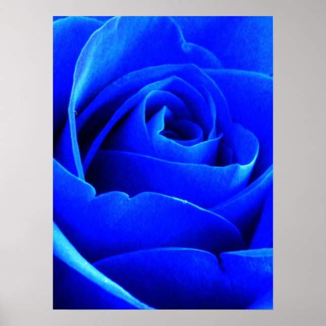 Blue Ro Poster (Framsidan)