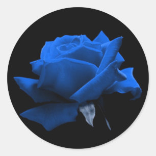 Blue Ro Runt Klistermärke