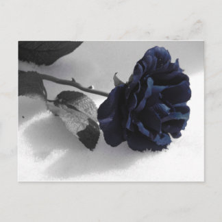 Blue Ro Vykort