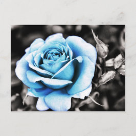 Blue ro vykort