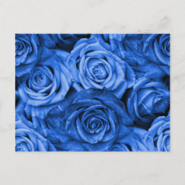 Blue Ro Vykort