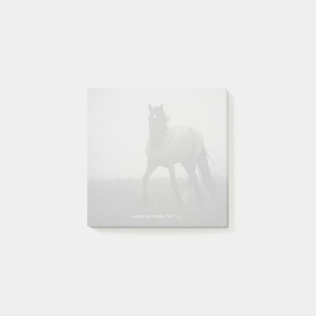Blue Roan Mist - 3" x 3" Anteckningar Post-it Block (Framsida)