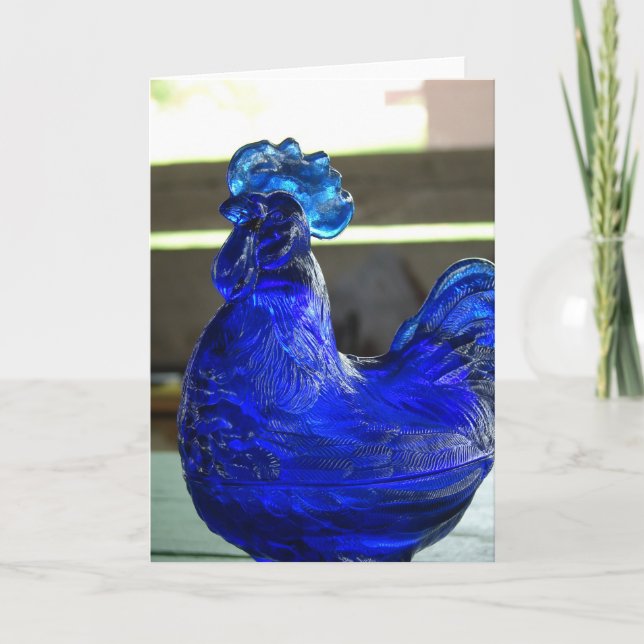 Blue Roo Kort (Framsida)