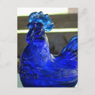 Blue Roo Vykort