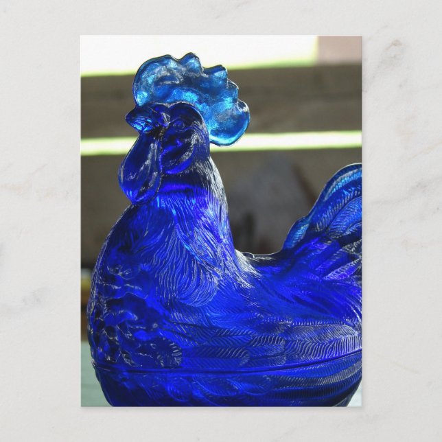 Blue Roo Vykort (Framsida)