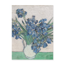 Blue rosor
