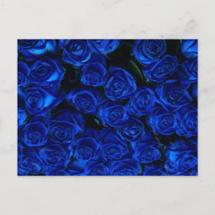 Blue Rosor Vykort