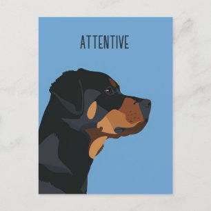 Blue Rottweiler Vykort