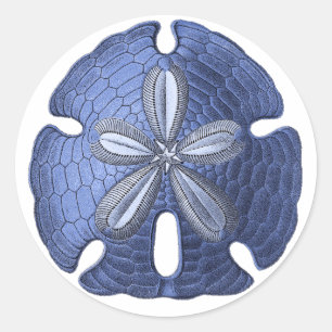Blue Sand Dollar Runt Klistermärke