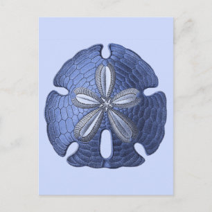 Blue Sand Dollar Vykort