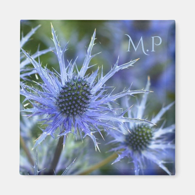 Blue Sea Holly Magnet (Framsidan)