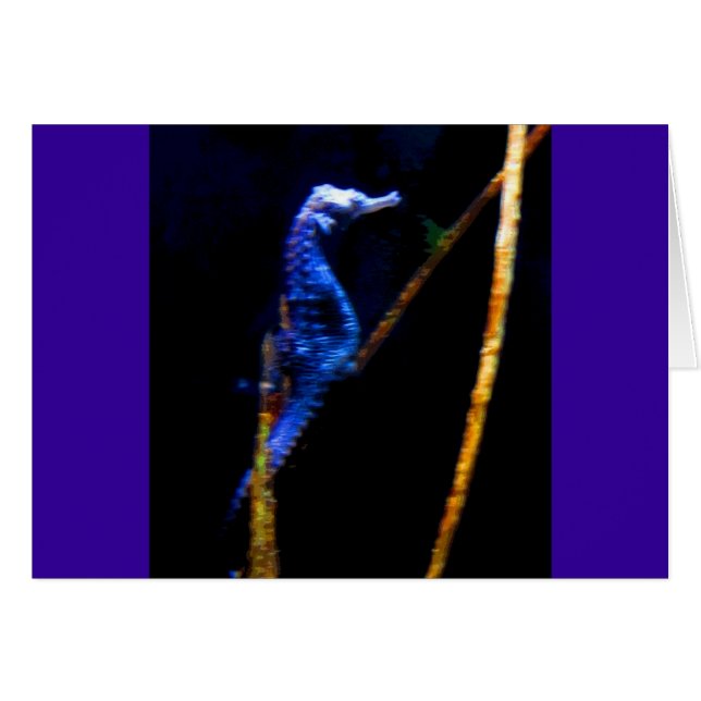 Blue Seahorse CB Hälsningskort (Framsidan Horizontal)