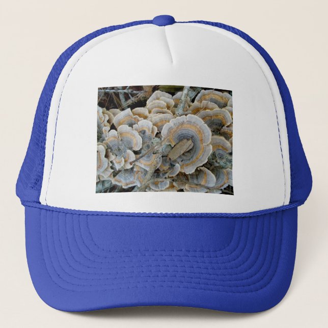 Blue Shelf Fungus Hat Keps (Framsida)