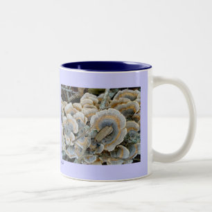 Blue Shelf Fungus Mugg