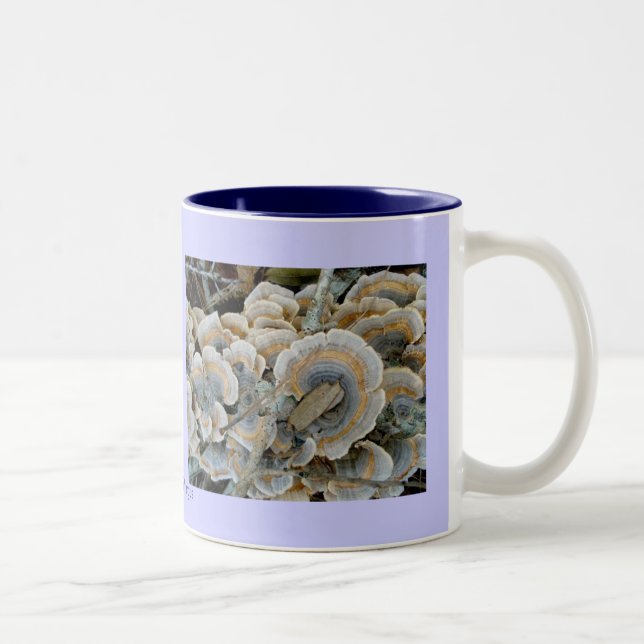 Blue Shelf Fungus Mugg (Höger)