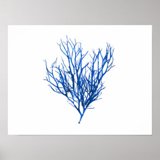 Blue Sjögräs #10 42x32 cm Poster