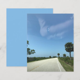 Blue Sky Florida Highway Palms Scrapbookpapper