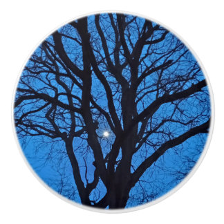 Blue Sky Night Tree Knopp