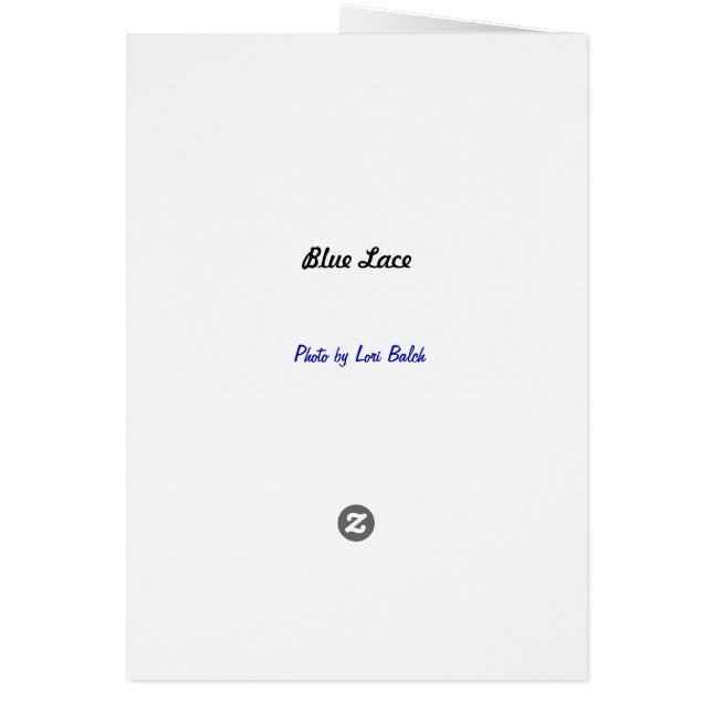 Blue Snöre OBS Kort (Baksidan)