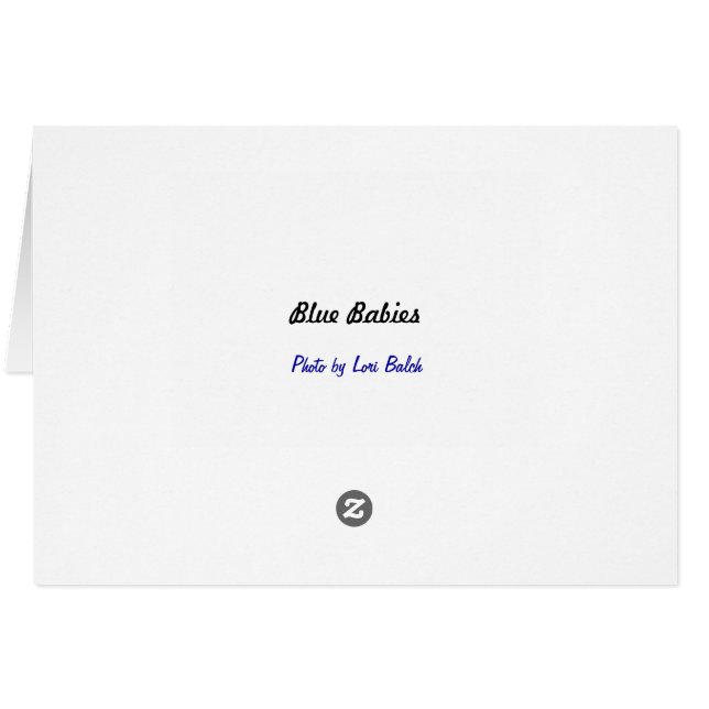 Blue Spädbarn OBS Kort (Baksidan Horizontal)