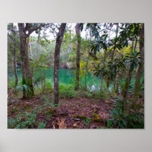 Blue Springs delstatspark, Florida Poster