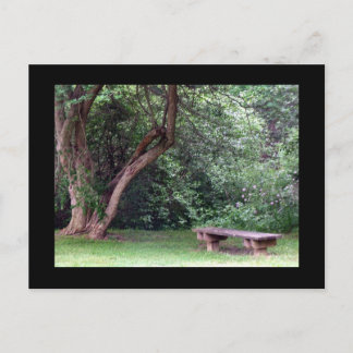 Blue Spruce Park #3 Vykort