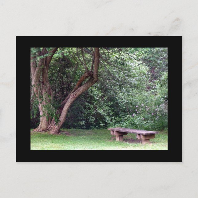 Blue Spruce Park #3 Vykort (Framsida)