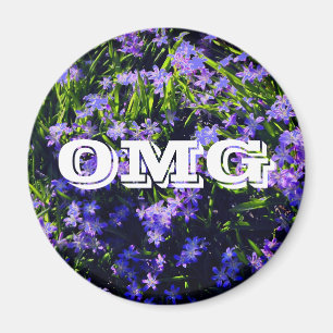 Blue Squill Vår blommor med breven Magnet