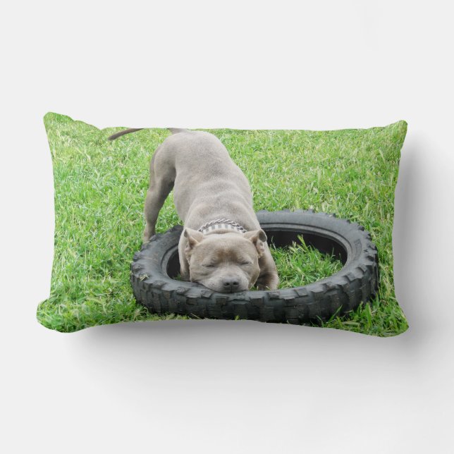 Blue Stafford Bull Terrier Play Time. Lumbarkudde (Framsida)