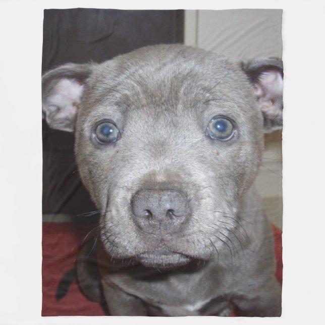 Blue Stafford Bull Terrier Puppy Fleecefilt (Framsidan)